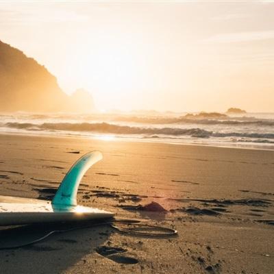 打鱼下载下载手机版