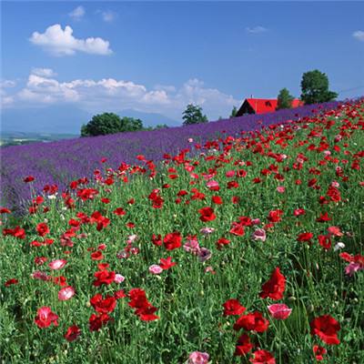 云开全站登录appkaiyun